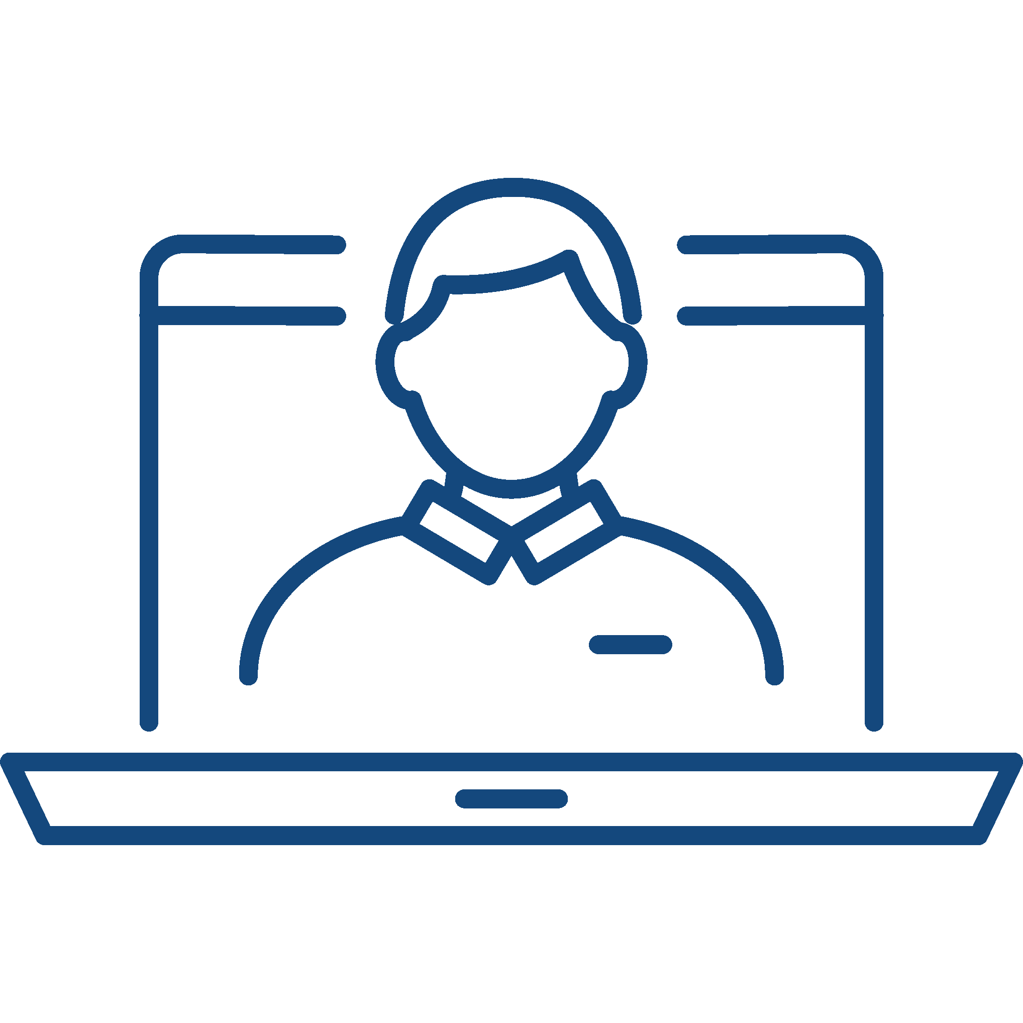 Agent Website Icon