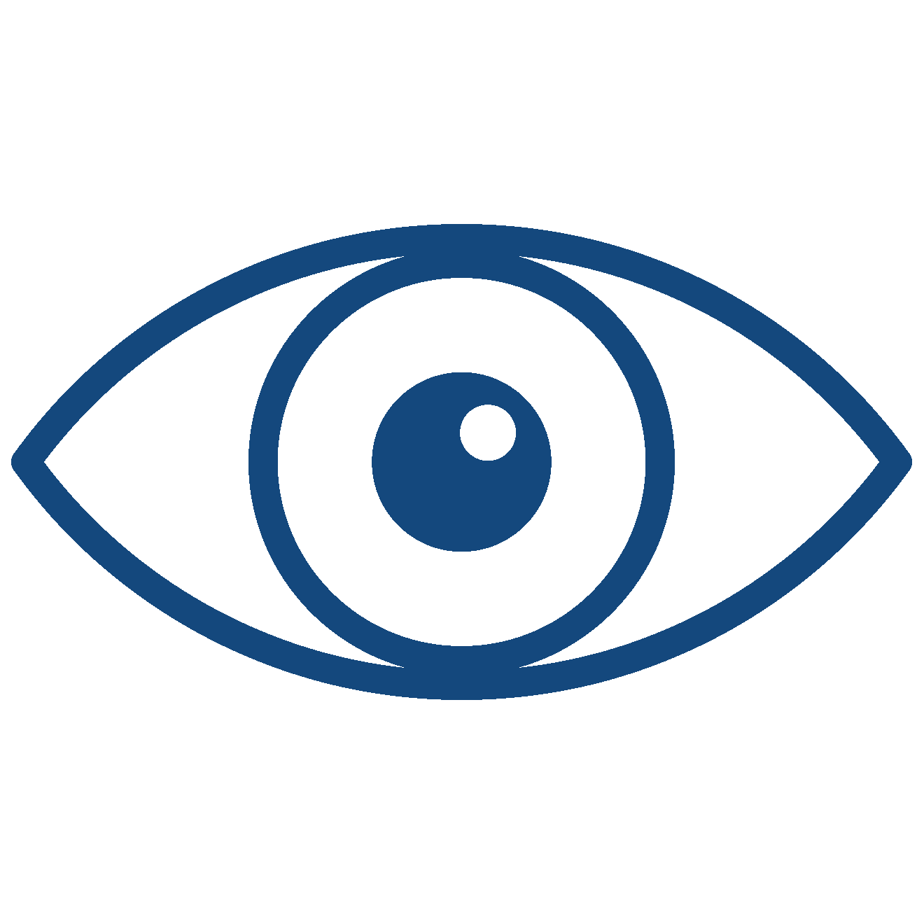 Vision Plans Icon